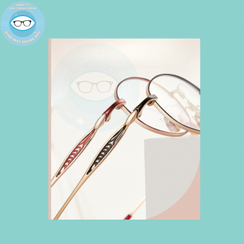 Gọng kính kim loại mã 6191